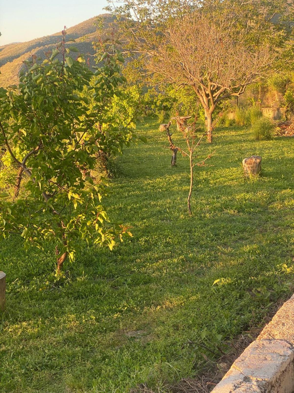 Casa Rural Balcon De Моначиль Екстер'єр фото